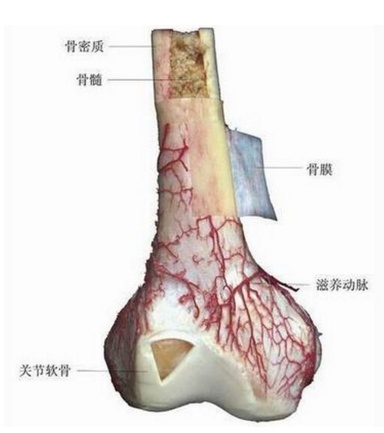 QQ截图20171026114833.png