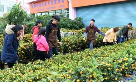 QQ截图20180205142925.jpg