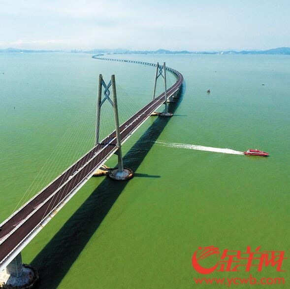 QQ截图20180305112613.jpg