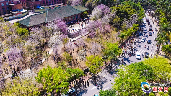 QQ截图20180328162521.png