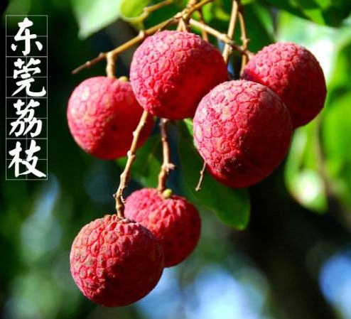 QQ截图20180513205822.png