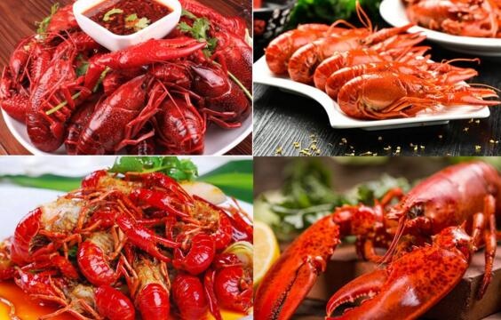 QQ截图20180628112628.jpg