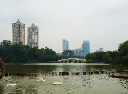 QQ截图20180712105321.jpg