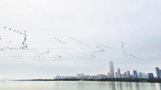 QQ截图20181105161357.png
