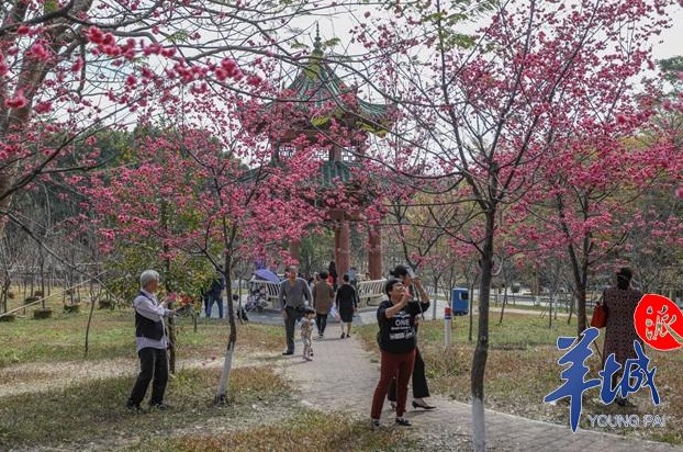 QQ截图20190211111419.png