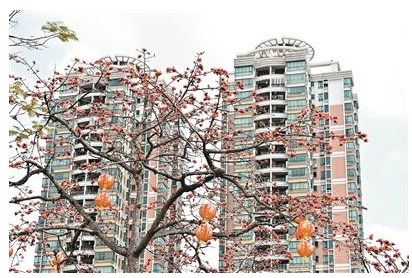 QQ截图20190311110049.png