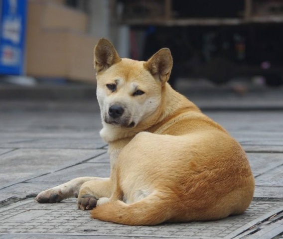 QQ截图20190416115612.png
