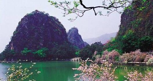 QQ截图20190505105545.jpg