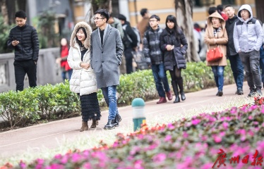 QQ截图20191018102049.png