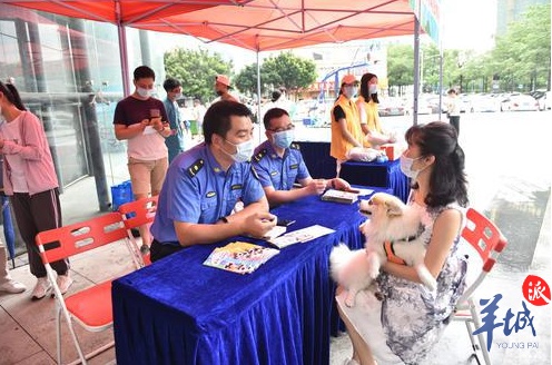QQ截图20200703150926.png
