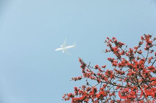 QQ截图20210223103423.jpg